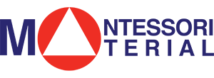 НПО Монтессори